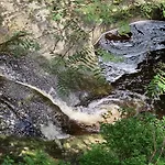 דירה Bayerwaldnest ספיגלאו