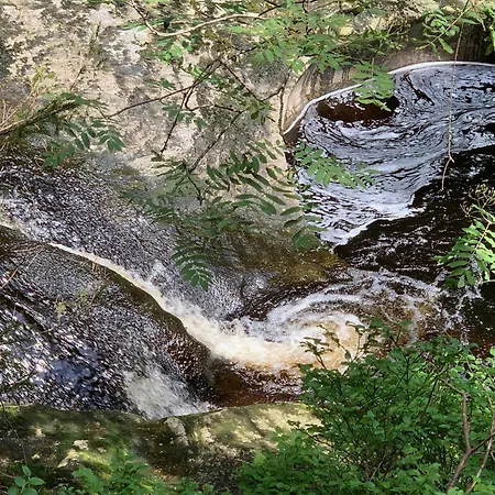 Διαμέρισμα Bayerwaldnest Spiegelau